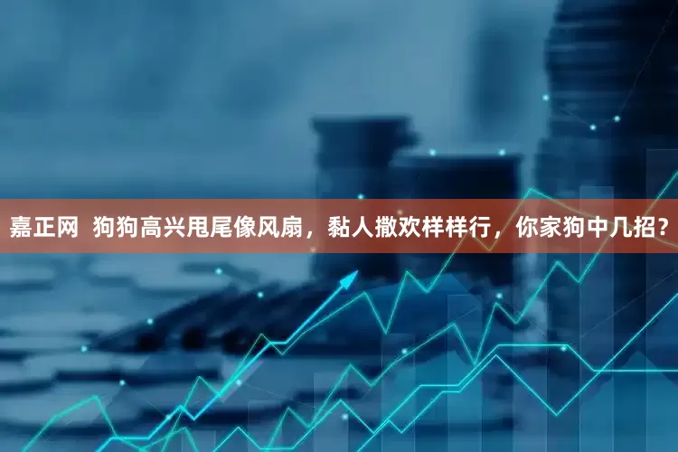 嘉正网  狗狗高兴甩尾像风扇，黏人撒欢样样行，你家狗中几招？