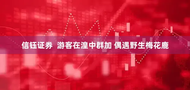 信钰证券  游客在湟中群加 偶遇野生梅花鹿
