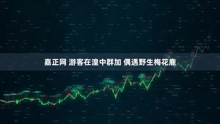 嘉正网 游客在湟中群加 偶遇野生梅花鹿