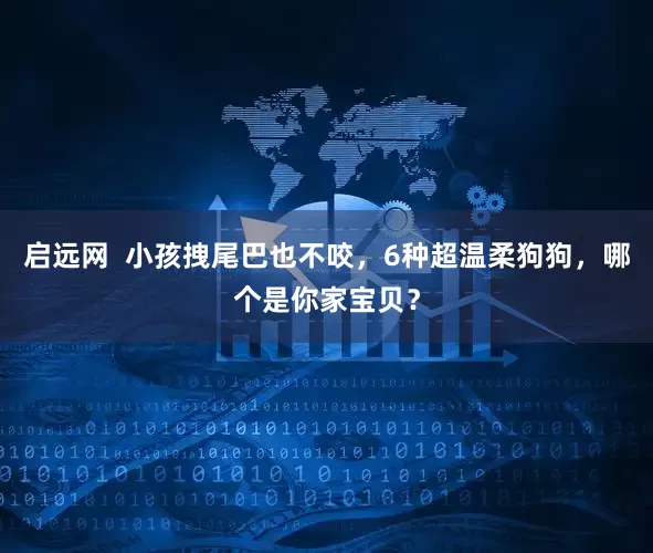 启远网  小孩拽尾巴也不咬，6种超温柔狗狗，哪个是你家宝贝？