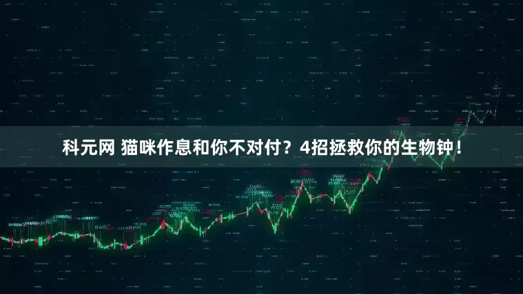 科元网 猫咪作息和你不对付？4招拯救你的生物钟！