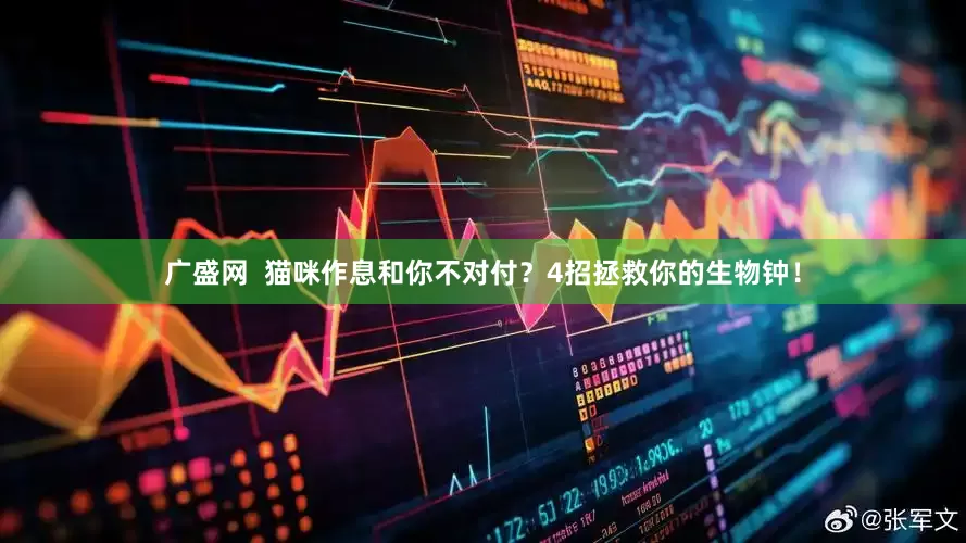 广盛网  猫咪作息和你不对付？4招拯救你的生物钟！