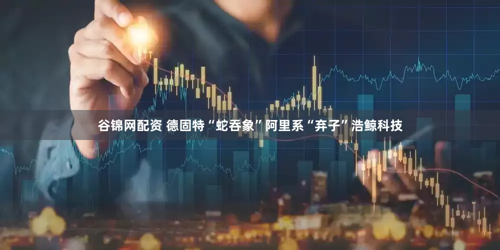 谷锦网配资 德固特“蛇吞象”阿里系“弃子”浩鲸科技