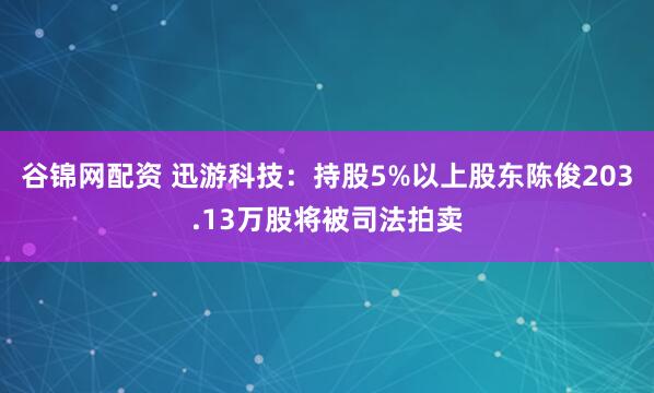谷锦网配资 迅游科技：持股5%以上股东陈俊203.13万股将被司法拍卖